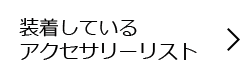 装着しているアクセサリーリスト