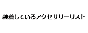 装着しているアクセサリーリスト
