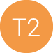 T2