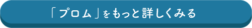 「プロム」をもっと詳しくみる