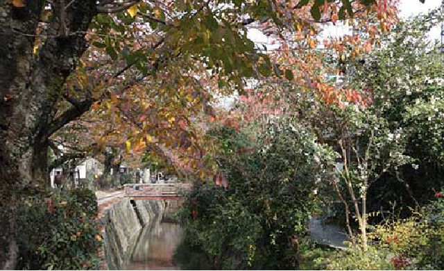 銀閣寺周辺