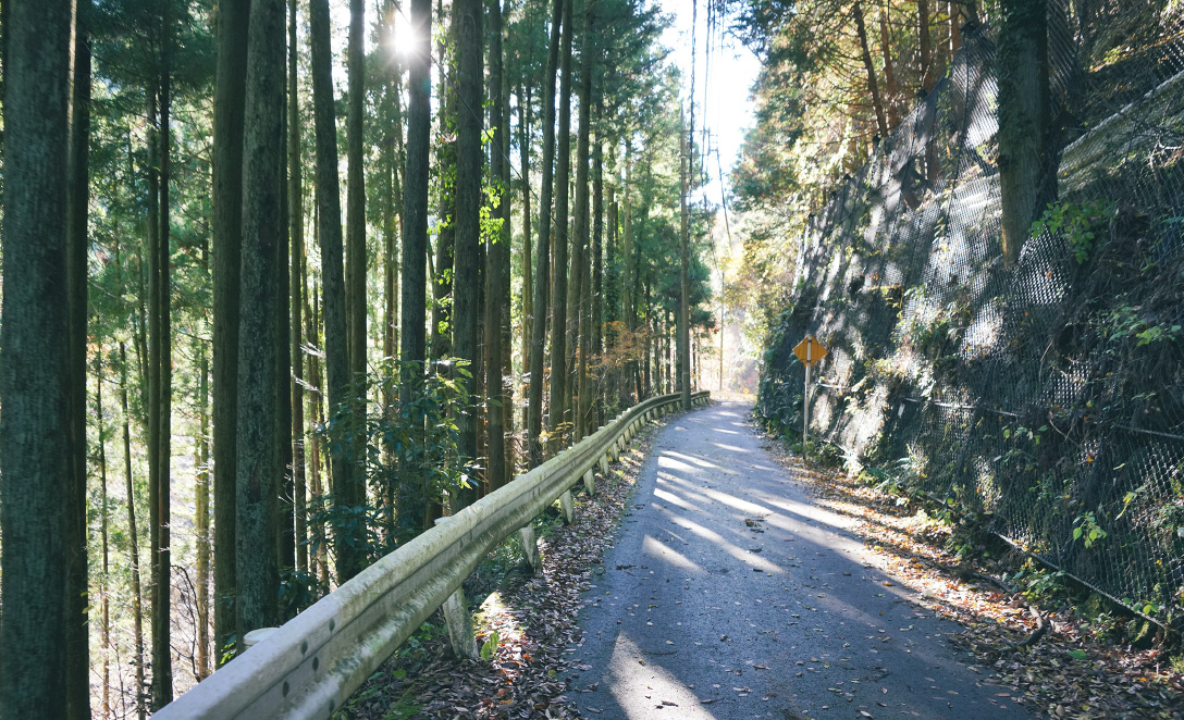 奥多摩むかし道2