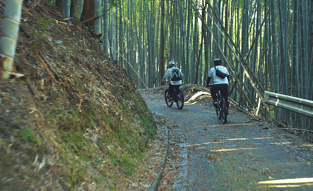 桐の木谷大日堂3